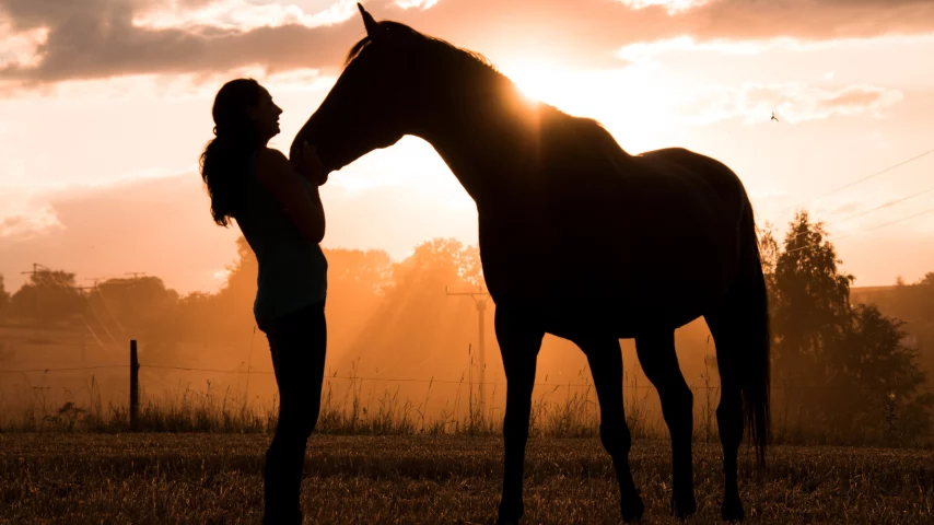 test uudis with 3 images