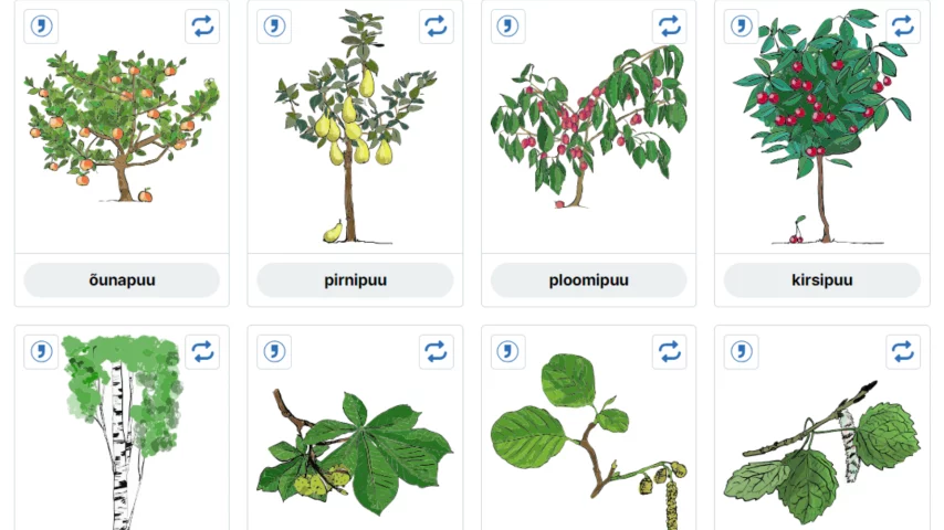 Keeleminutid. Rääkivad (pilt)sõnastikud